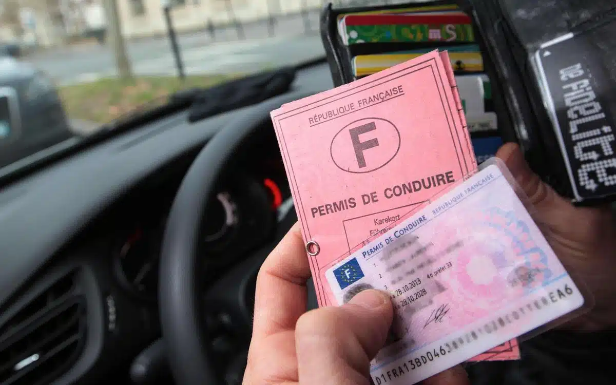 permis de conduire